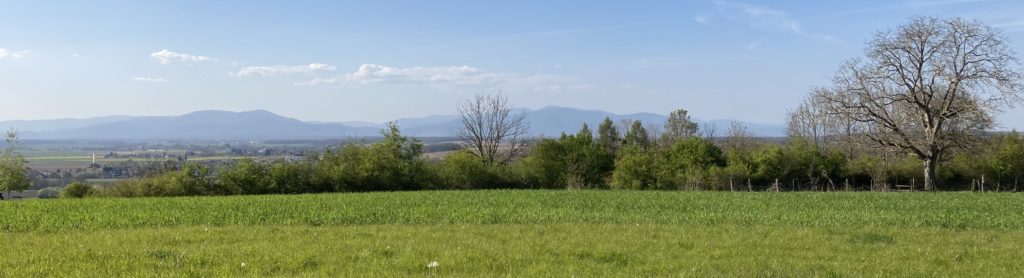 Paysage, prairie avec montagnes en fond