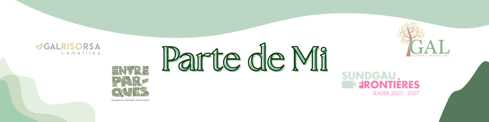 Actualité